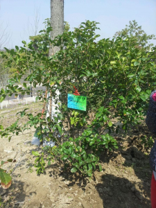 法制新闻1341团日3月活动