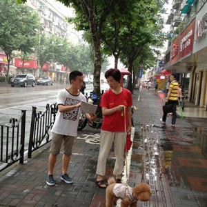 元祖——街头调查